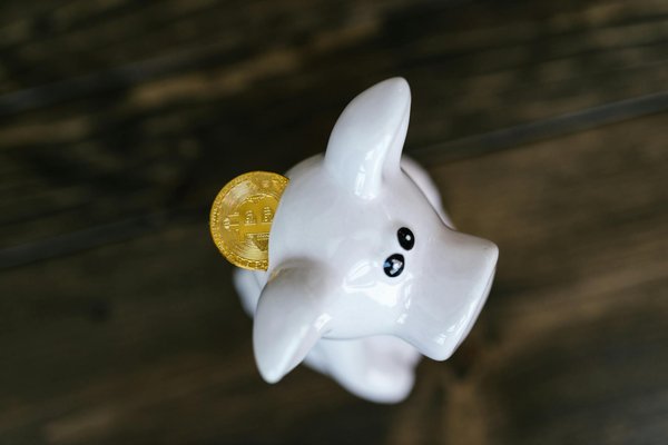 Découvrez les opportunités uniques de l'investissement immobilier au sein des joyaux du patrimoine historique !